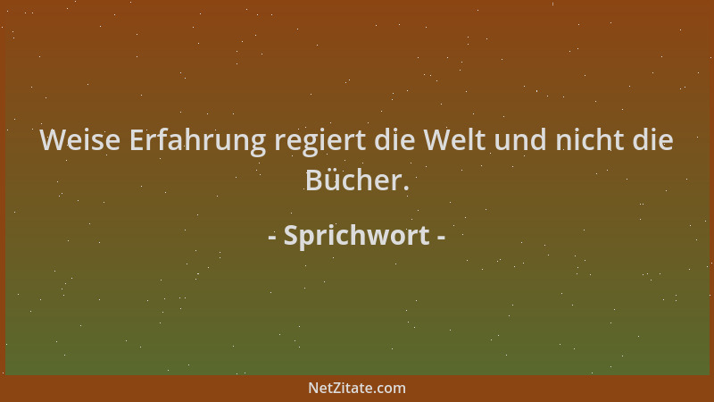 Sprichwort - Weise Erfahrung regiert die Welt und nicht die Bücher....