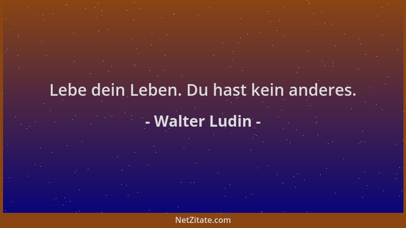 Walter Ludin - Lebe dein Leben. Du hast kein anderes....