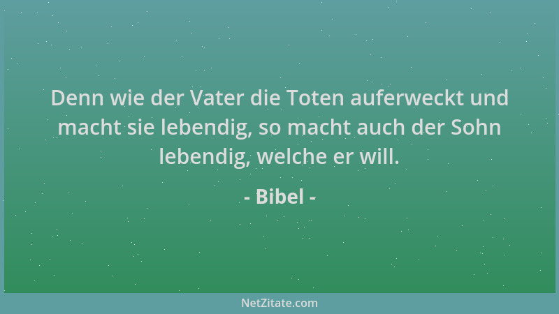 Bibel - Denn wie der Vater die Toten auferweckt und macht sie lebendig, so macht auch der Sohn lebendig, welche er will....