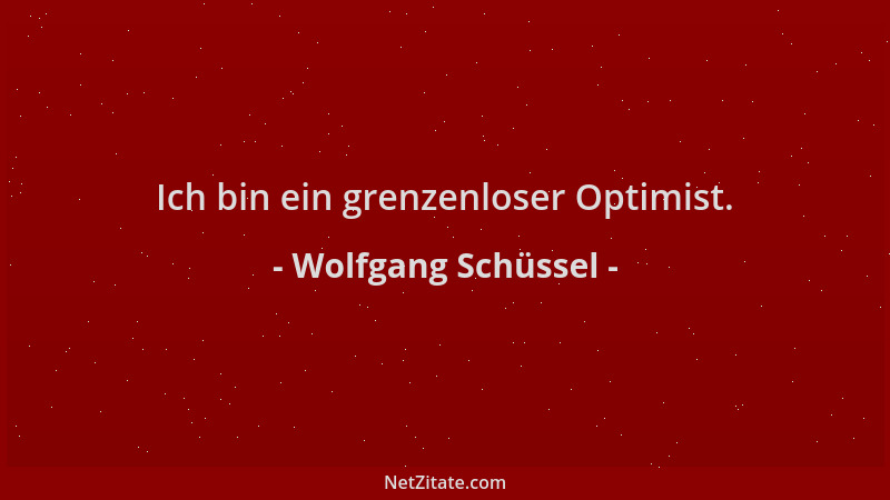 Wolfgang Schüssel - Ich bin ein grenzenloser Optimist....