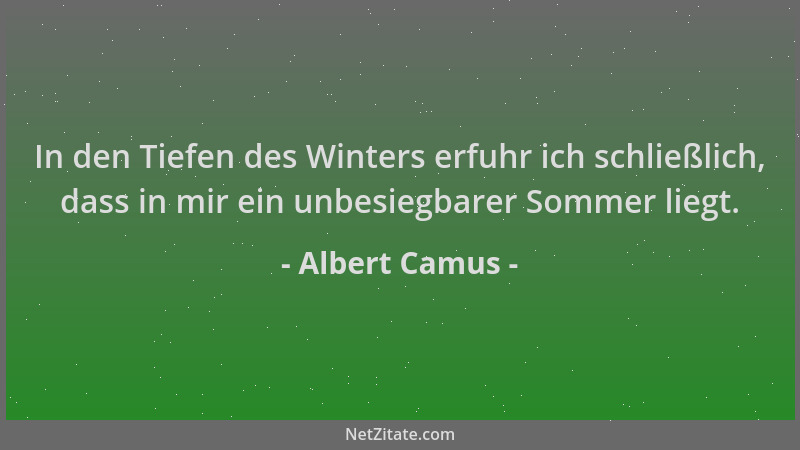 Albert Camus - In den Tiefen des Winters erfuhr ich schließlich, dass in mir ein unbesiegbarer Sommer liegt....
