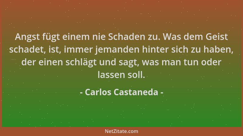 Carlos Castaneda - Angst fügt einem nie Schaden zu. Was dem Geist schadet, ist, immer jemanden hinter sich zu haben, der ei...
