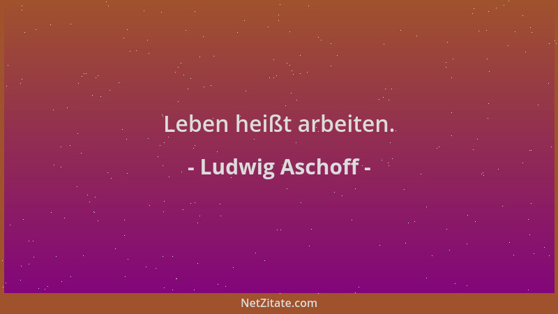 Ludwig Aschoff - Leben heißt arbeiten....