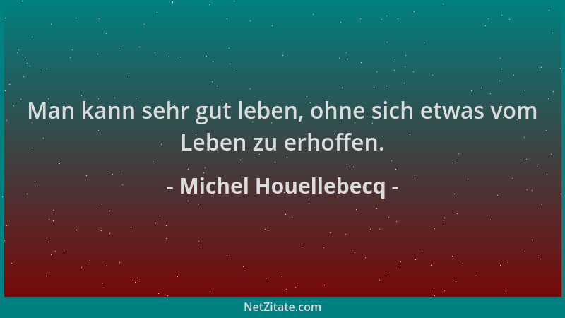 Michel Houellebecq - Man kann sehr gut leben, ohne sich etwas vom Leben zu erhoffen....