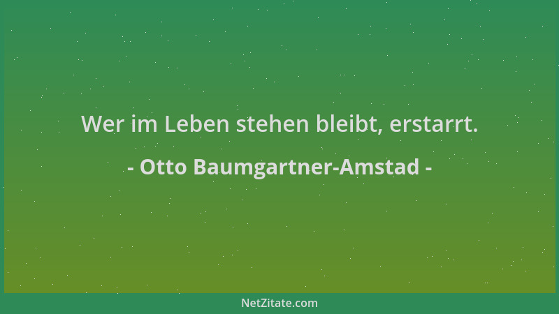 Otto Baumgartner-Amstad - Wer im Leben stehen bleibt, erstarrt....
