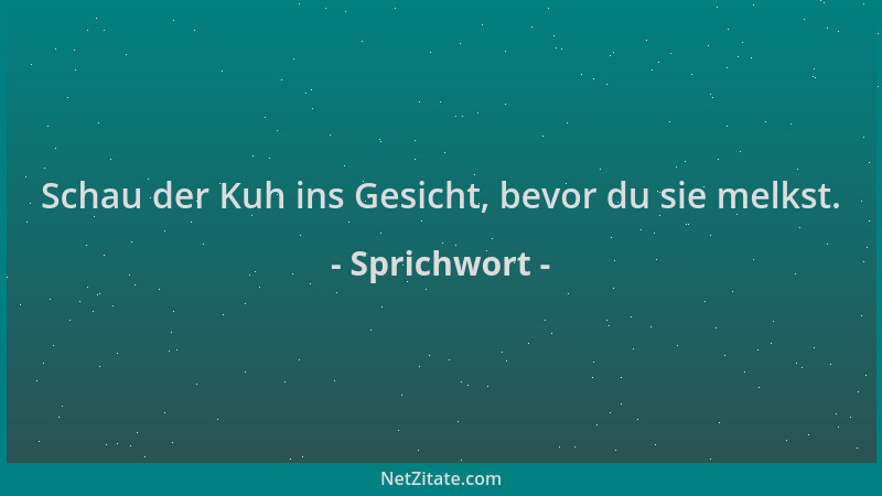 Sprichwort - Schau der Kuh ins Gesicht, bevor du sie melkst....
