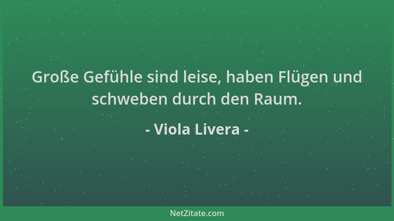 Viola Livera - Große Gefühle sind leise, haben Flügen und schweben durch den Raum....