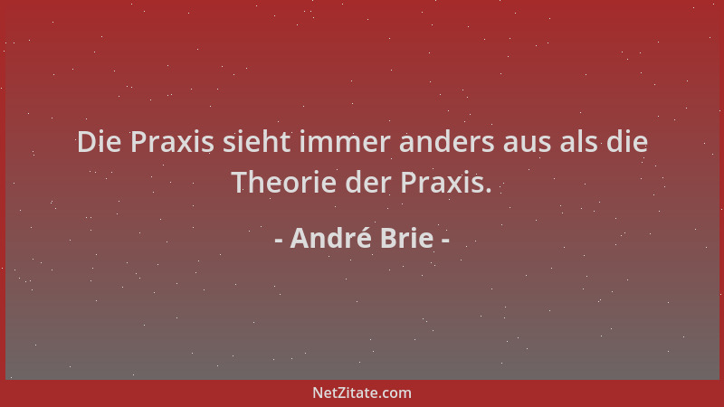 André Brie - Die Praxis sieht immer anders aus als die Theorie der Praxis....
