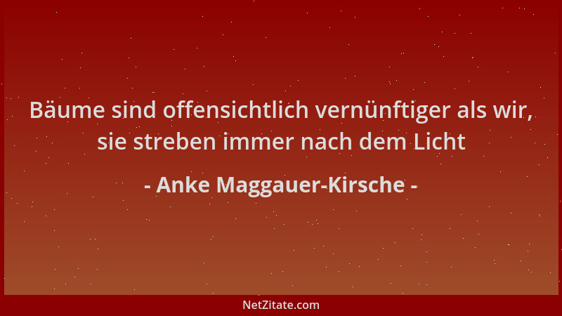 Anke Maggauer-Kirsche - Bäume sind offensichtlich vernünftiger als wir, sie streben immer nach dem Licht...