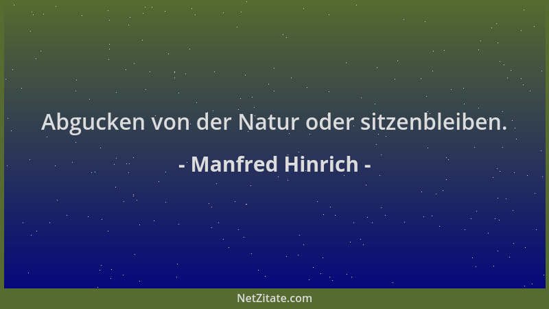 Manfred Hinrich - Abgucken von der Natur oder sitzenbleiben....