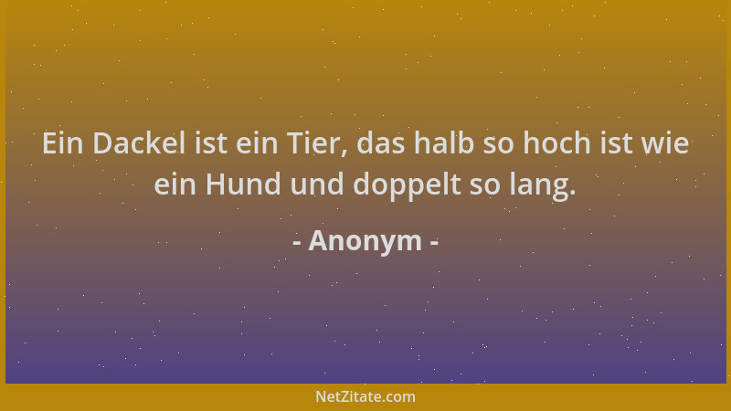 Anonym - Ein Dackel ist ein Tier, das halb so hoch ist wie ein Hund und doppelt so lang....