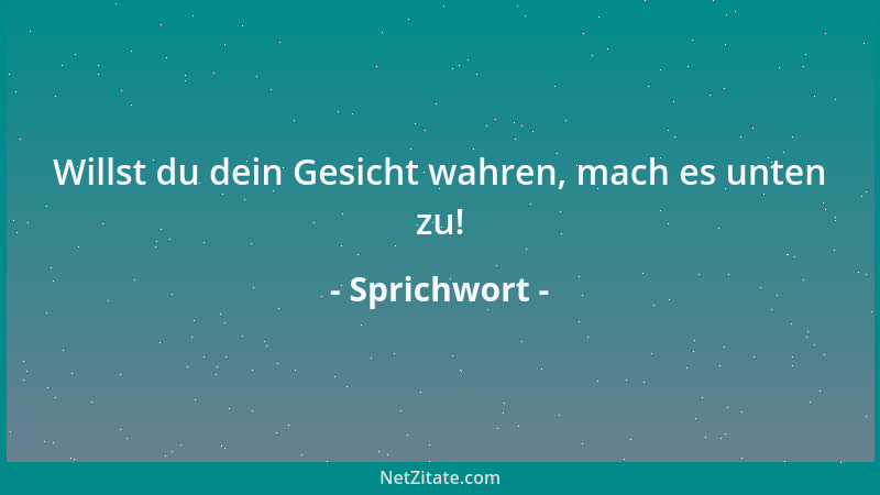 Sprichwort - Man reitet den Gaul erst, wenn man ihn hat....