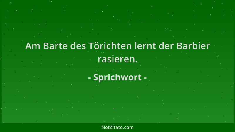Sprichwort - Am Barte des Törichten lernt der Barbier rasieren....