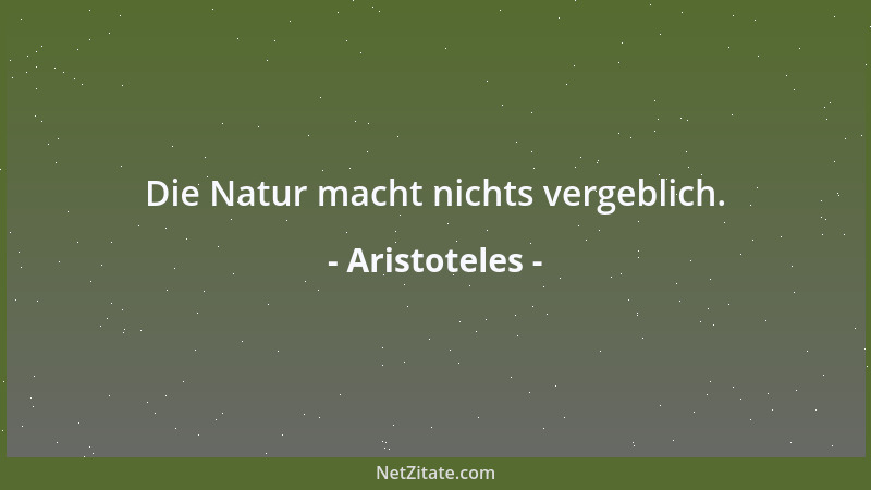 Aristoteles - Die Natur macht nichts vergeblich....