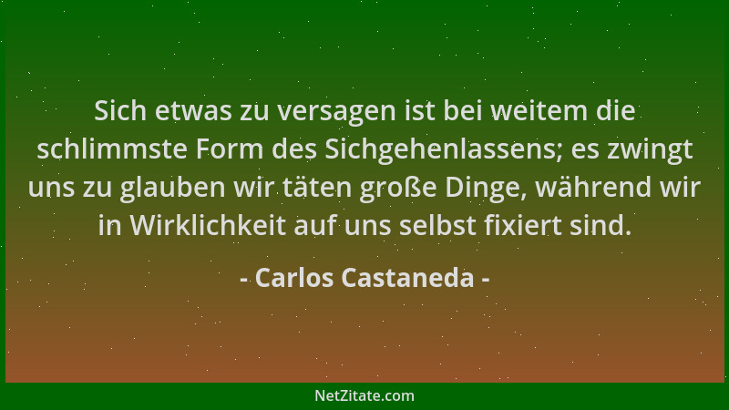 Carlos Castaneda - Sich etwas zu versagen ist bei weitem die schlimmste Form des Sichgehenlassens; es zwingt uns zu glauben...
