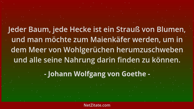 Johann Wolfgang von Goethe - Jeder Baum, jede Hecke ist ein Strauß von Blumen, und man möchte zum Maienkäfer werden, um in...