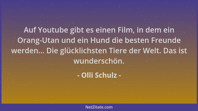 Olli Schulz - Auf Youtube gibt es einen Film, in dem ein Orang-Utan und ein Hund die besten Freunde werden... Die glücklich...