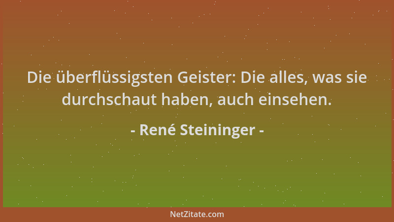 René Steininger - Die überflüssigsten Geister: Die alles, was sie durchschaut haben, auch einsehen....