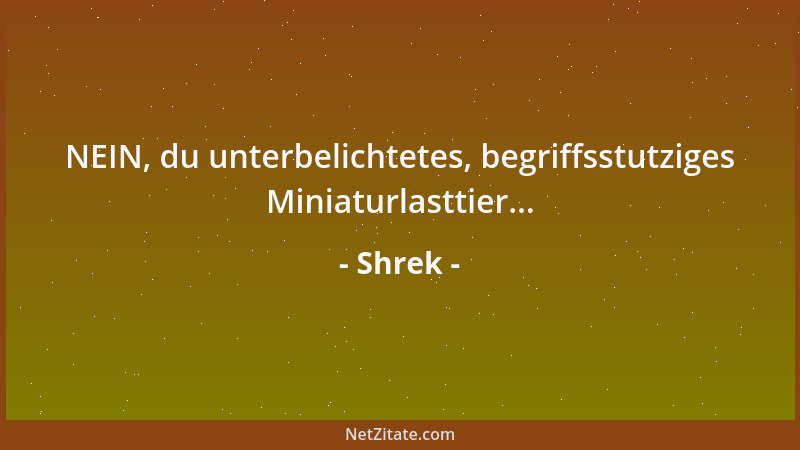 Shrek - NEIN, du unterbelichtetes, begriffsstutziges Miniaturlasttier......