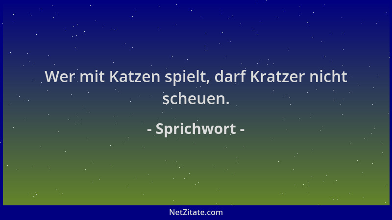 Sprichwort - Wer mit Katzen spielt, darf Kratzer nicht scheuen....