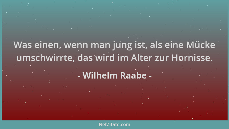 Wilhelm Raabe - Was einen, wenn man jung ist, als eine Mücke umschwirrte, das wird im Alter zur Hornisse....