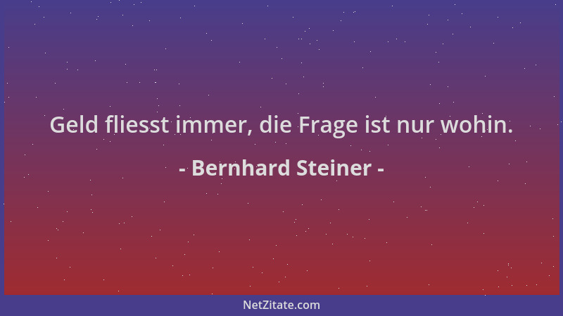 Bernhard Steiner - Geld fliesst immer, die Frage ist nur wohin....