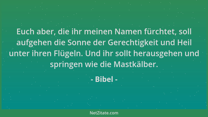 Bibel - Euch aber, die ihr meinen Namen fürchtet, soll aufgehen die Sonne der Gerechtigkeit und Heil unter ihren Flügeln. U...