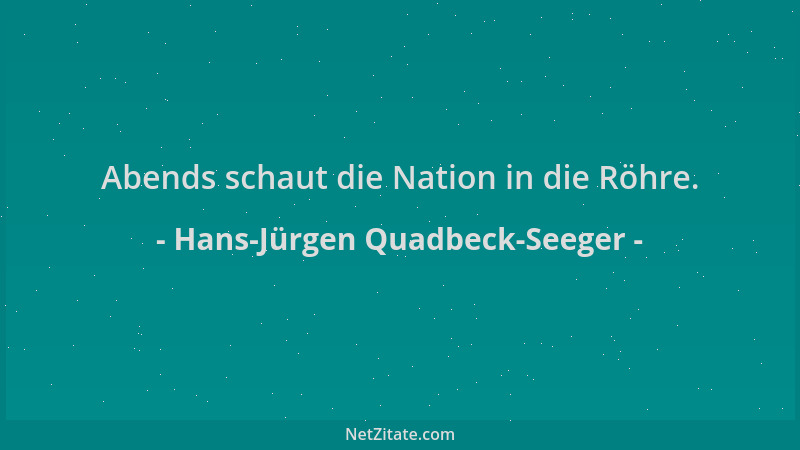 Hans-Jürgen Quadbeck-Seeger - Abends schaut die Nation in die Röhre....