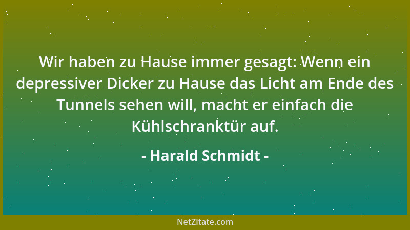 Harald Schmidt - Wir haben zu Hause immer gesagt: Wenn ein depressiver Dicker zu Hause das Licht am Ende des Tunnels sehen...