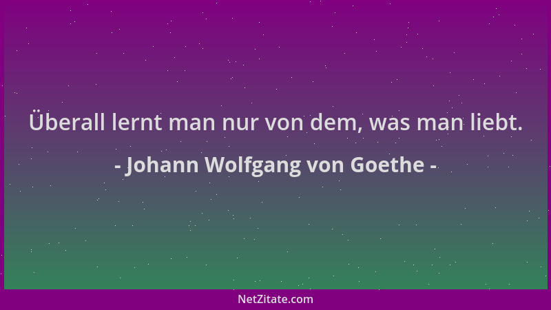 Johann Wolfgang von Goethe - Überall lernt man nur von dem, was man liebt....