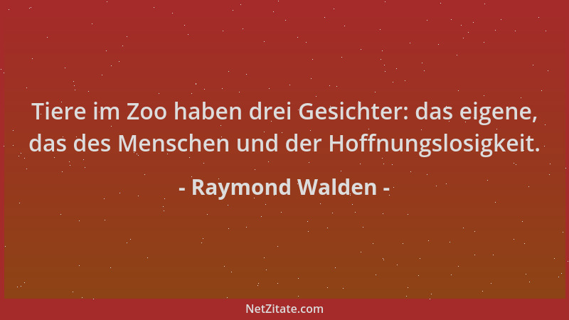Raymond Walden - Tiere im Zoo haben drei Gesichter: das eigene, das des Menschen und der Hoffnungslosigkeit....