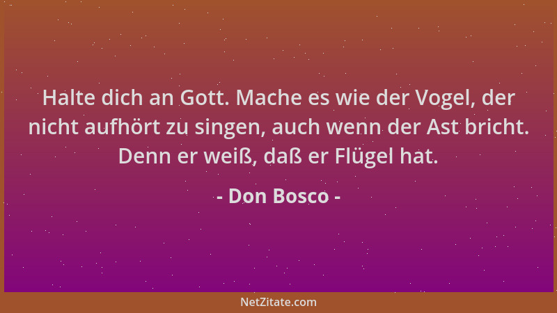 Don Bosco - Halte dich an Gott. Mache es wie der Vogel, der nicht aufhört zu singen, auch wenn der Ast bricht. Denn er weiß...