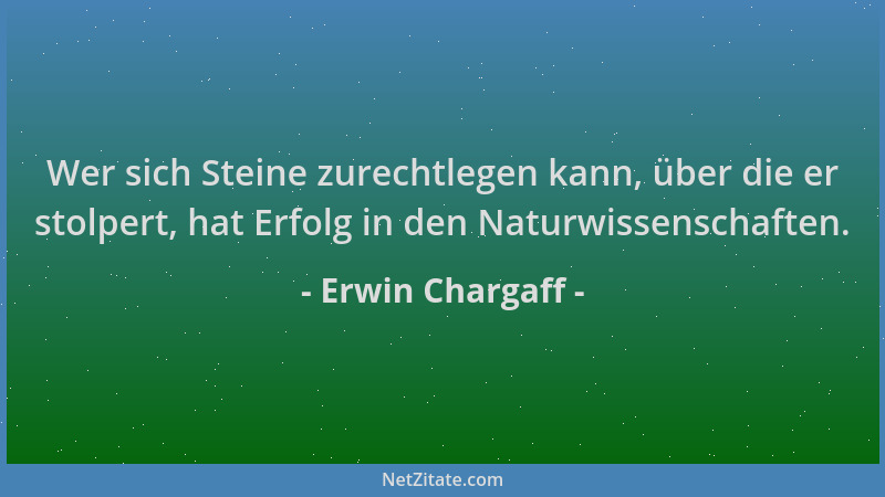 Erwin Chargaff - Wer sich Steine zurechtlegen kann, über die er stolpert, hat Erfolg in den Naturwissenschaften....