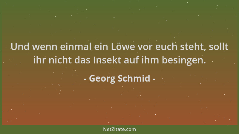 Georg Schmid - Und wenn einmal ein Löwe vor euch steht, sollt ihr nicht das Insekt auf ihm besingen....