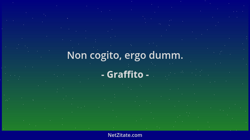Graffito - Non cogito, ergo dumm....