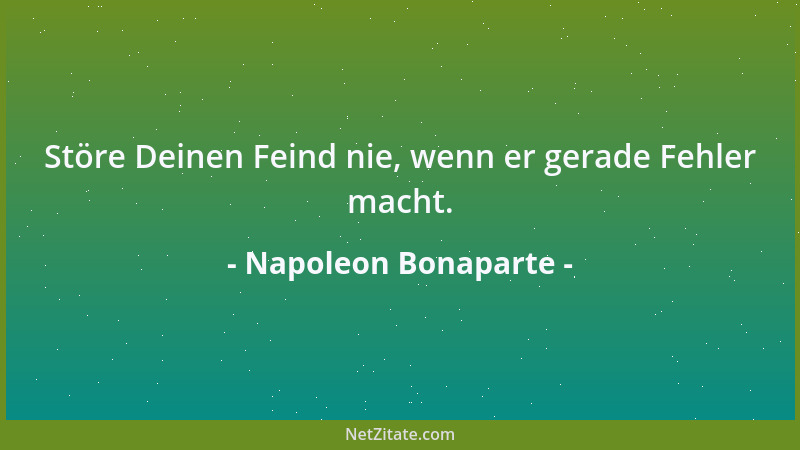 Napoleon Bonaparte - Störe Deinen Feind nie, wenn er gerade Fehler macht....