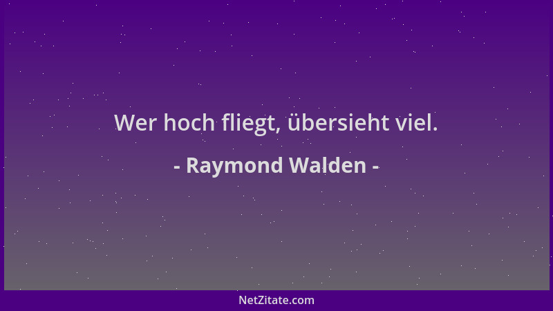 Raymond Walden - Wer hoch fliegt, übersieht viel....