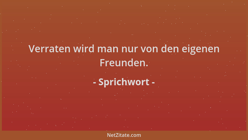 Sprichwort - Verraten wird man nur von den eigenen Freunden....