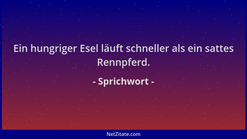 Sprichwort - Ein hungriger Esel läuft schneller als ein sattes Rennpferd....