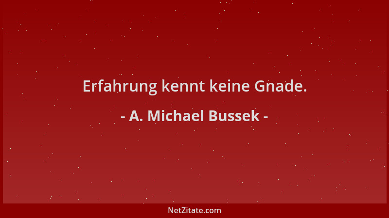 A. Michael Bussek - Erfahrung kennt keine Gnade....