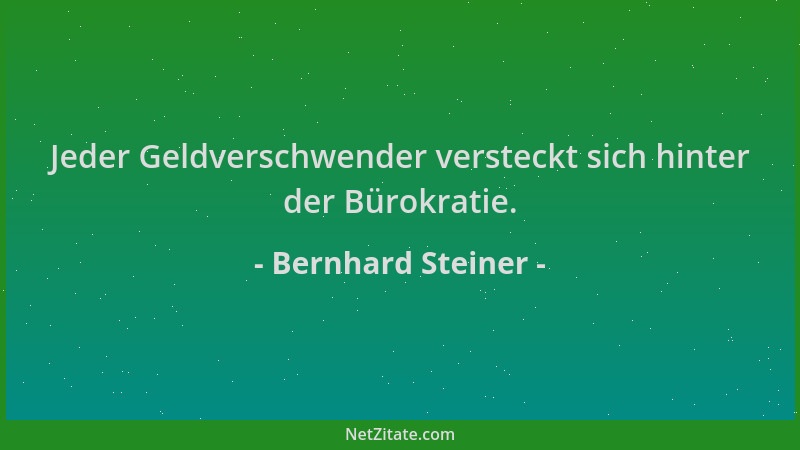 Bernhard Steiner - Jeder Geldverschwender versteckt sich hinter der Bürokratie....