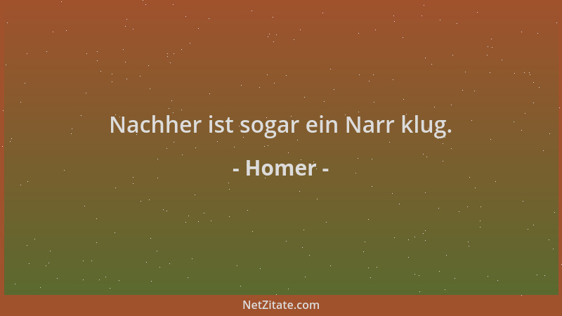 Homer - Nachher ist sogar ein Narr klug....