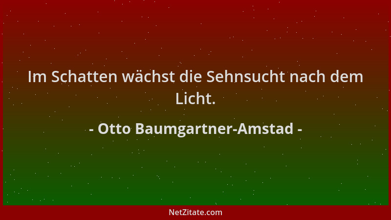 Otto Baumgartner-Amstad - Im Schatten wächst die Sehnsucht nach dem Licht....