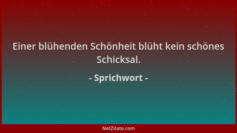 Sprichwort - Einer blühenden Schönheit blüht kein schönes Schicksal....