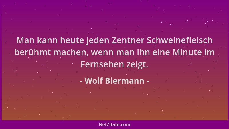 Wolf Biermann - Man kann heute jeden Zentner Schweinefleisch berühmt machen, wenn man ihn eine Minute im Fernsehen zeigt....