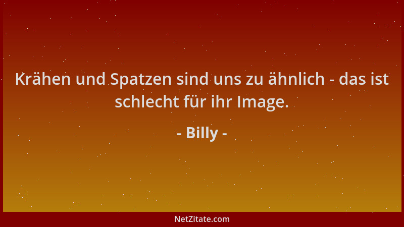 Billy - Krähen und Spatzen sind uns zu ähnlich - das ist schlecht für ihr Image....