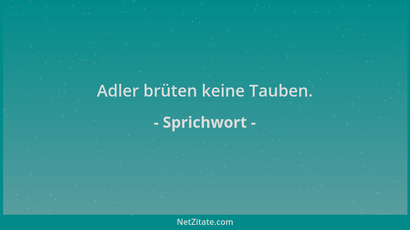 Sprichwort - Adler brüten keine Tauben....