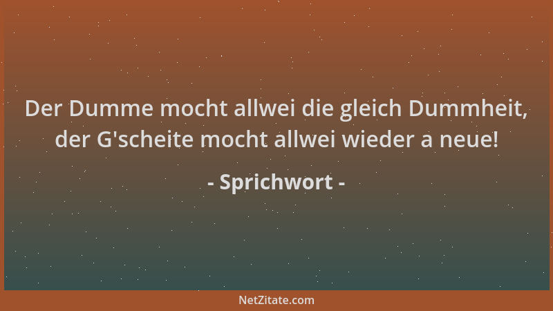 Sprichwort - Der Dumme mocht allwei die gleich Dummheit, der G 'scheite mocht allwei wieder a neue!...