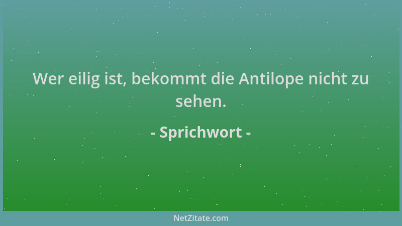 Sprichwort - Wer eilig ist, bekommt die Antilope nicht zu sehen....