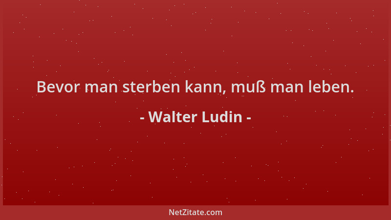 Walter Ludin - Bevor man sterben kann, muß man leben....